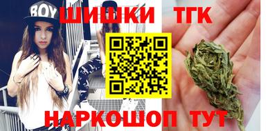 индика Новодвинск