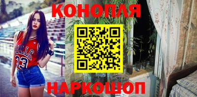 индика Новодвинск