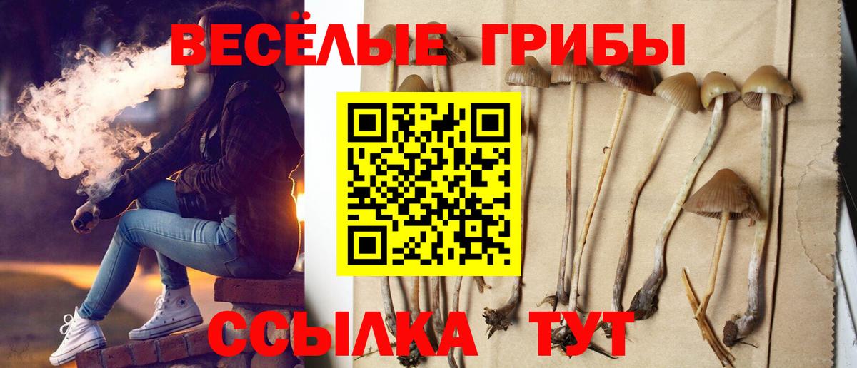 купить   Псилоцибиновые грибы прущие грибы  Россошь  Вход с VPN  Псилоцибиновые грибы мухоморы 